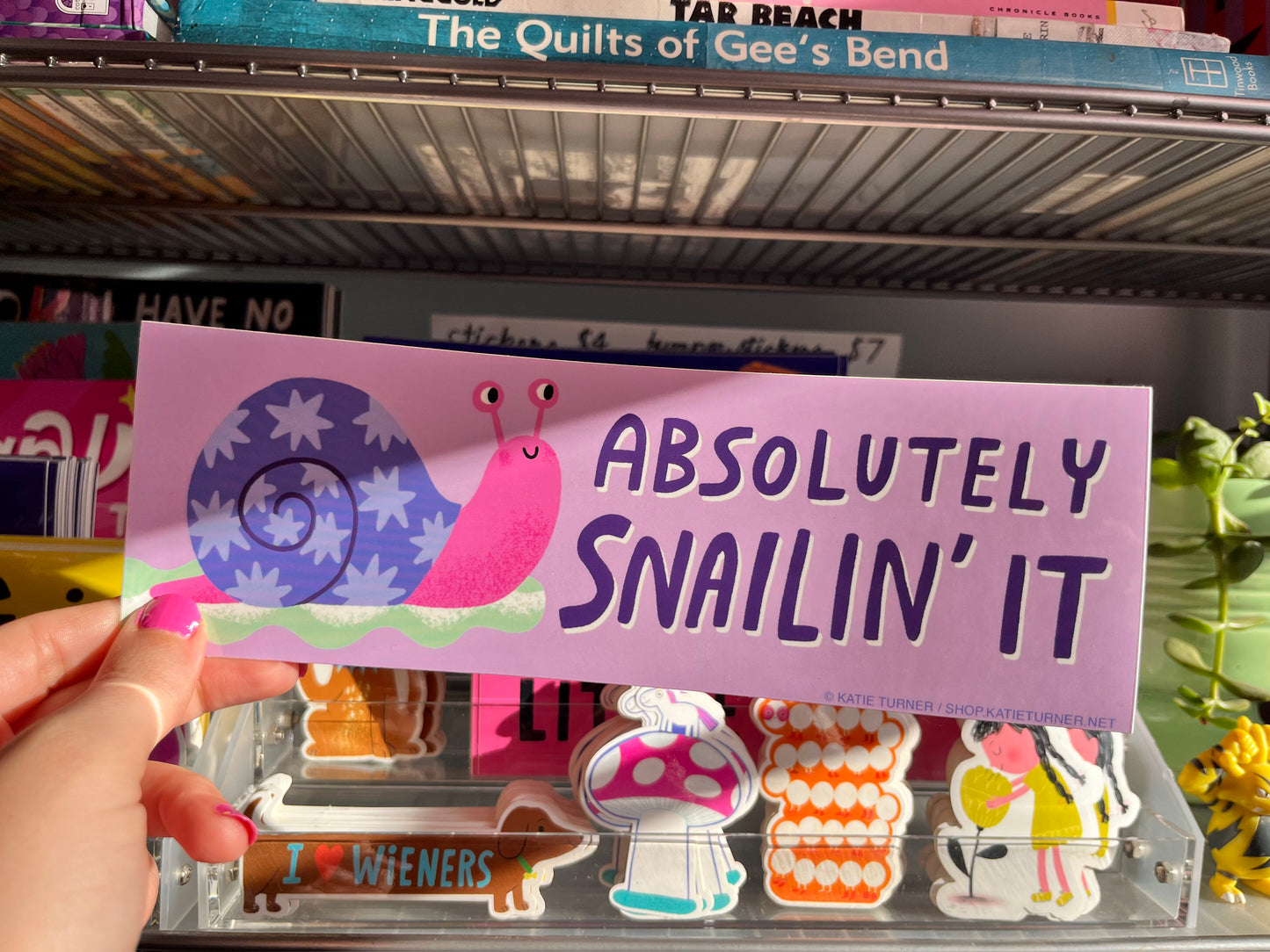 Absolutely Snailin' It Vinyl Bumper Sticker